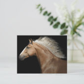 Palomino Stallion Postkarte (Stehend Vorderseite)