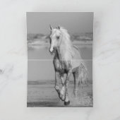 Palomino Stallion Turns  Horse Greeting Card Karte (Innenseite)