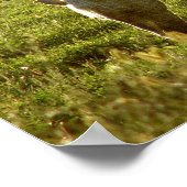 Palomino Sunset Poster (Ecke)