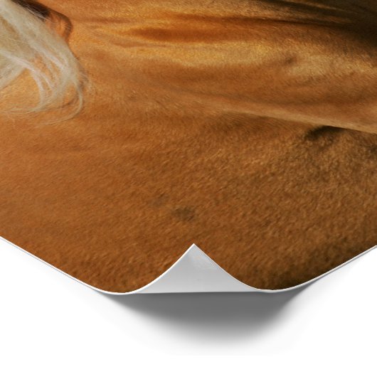 Palomino Tennesee Wanderung Pferdeschlitten Poster (Ecke)