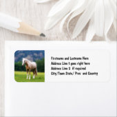 Palomino Traumpferd (Insitu)