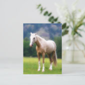 Palomino Traumpferd Postkarte (Stehend Vorderseite)