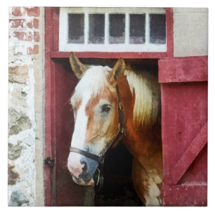 Palomino von Barn Door Fliese