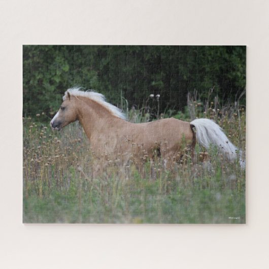 Palomino Walisischer Pony, die in langen Gras läuf Puzzle (Horizontal)