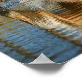 Palomino Waters Poster (Ecke)
