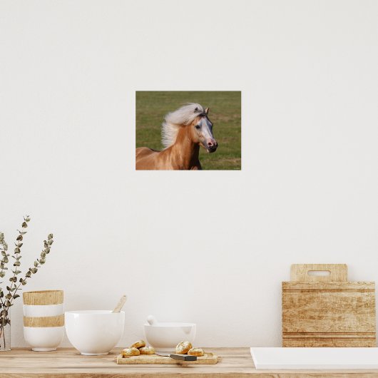 Palomino Welsh Pony Headhot Mane Flows Poster (Küche)