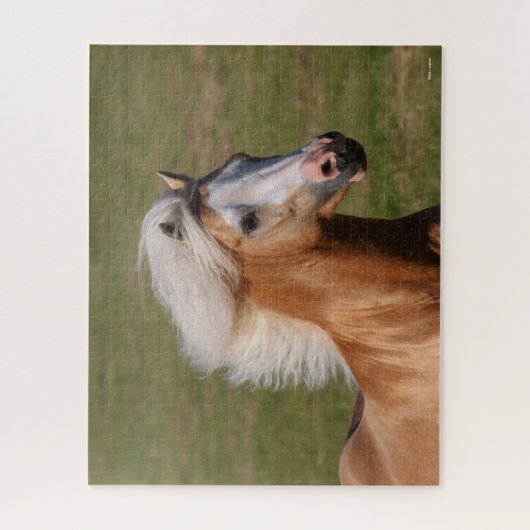 Palomino Welsh Pony Headhot Mane Flows Puzzle (Vertikal)