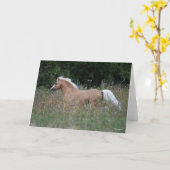 Palomino Welsh Pony Running In Long Grass Karte (Gelbe Blume)