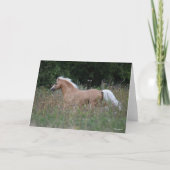 Palomino Welsh Pony Running In Long Grass Karte (Vorderseite)