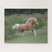 Palomino Welsh Pony Stallion Running Puzzle (Horizontal)
