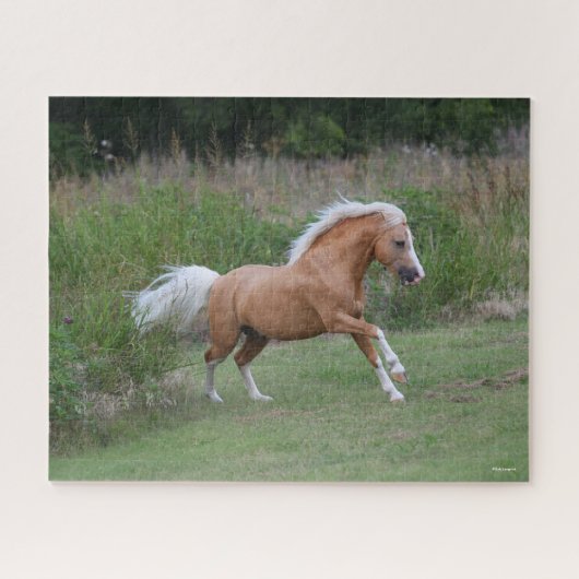 Palomino Welsh Pony Stallion Running Puzzle (Horizontal)