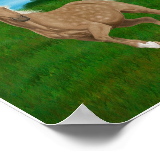 Palominopferd auf der Wiese Poster (Ecke)