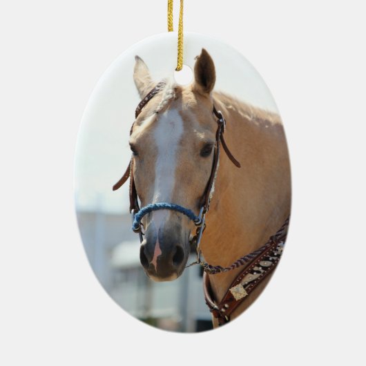 PalominoPic Keramik Ornament (Hinten)