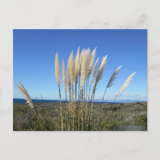 PALOS VERDES. CA #9 POSTCARD POSTKARTE (Vorderseite)