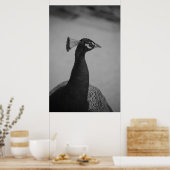 Palos Verdes Peacock Poster (Küche)