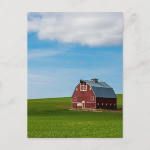Palouse Country Barn - Eastern Washington Postkarte