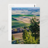 Palouse Country - Eastern Washington Postkarte (Vorne/Hinten)