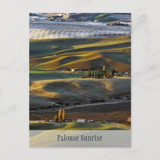 Palouse Sunrise Postkarte (Vorderseite)