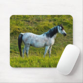 Palouspferd, Colfax, Palouse Area, Washington Mousepad (Mit Mouse)