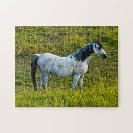 Palouspferd, Colfax, Palouse Area, Washington Puzzle (Horizontal)