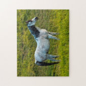 Palouspferd, Colfax, Palouse Area, Washington Puzzle (Vertikal)