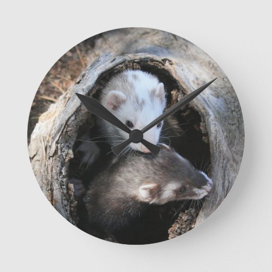 Pals Clock Runde Wanduhr (Vorderseite)