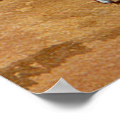 PALS VON SHARON SHARPE POSTER (Ecke)