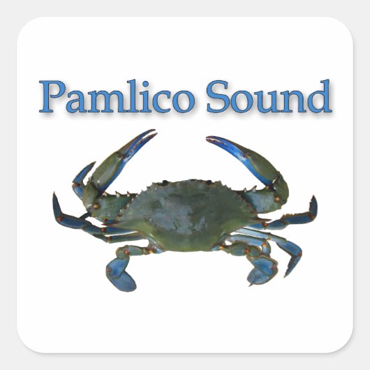 Pamlico Sound Blue Crab Quadratischer Aufkleber (Vorderseite)