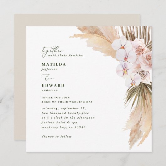 Pampas Gras Dessert natürlich getrocknet botanisch (Vorne/Hinten)