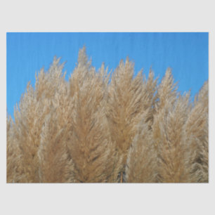 Pampas-Gras-Gewebe Seidenpapier