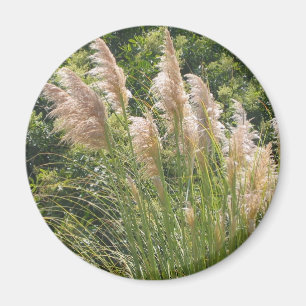 Pampas-Gras-Magnet Magnet