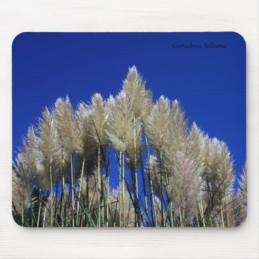 Pampas-Gras Mousmat Mousepad (Vorne)