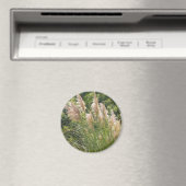 Pampas Grass Magnet (In Situ (Geschirrspüler))