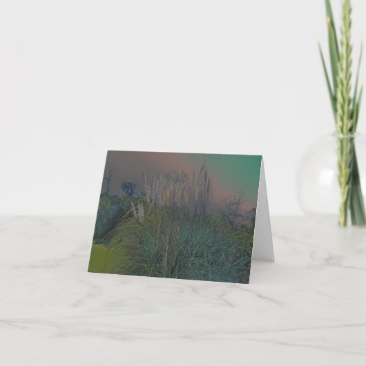 Pampas Grass Solarized Note Card Karte (Vorderseite)