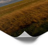Pampas Poster (Ecke)