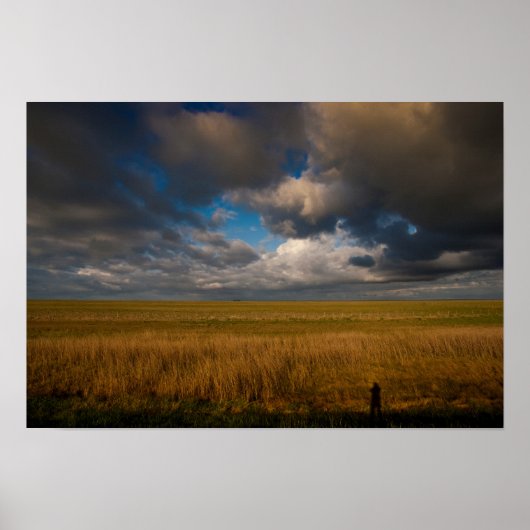 Pampas Poster (Vorne)