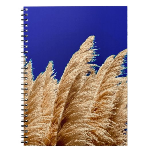 Pampas und Sky Notebook Notizblock (Vorderseite)