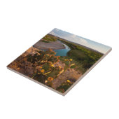 Pampelmuse (Opuntia Sp.) Fliese (Seite)