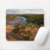 Pampelmuse (Opuntia Sp.) Mousepad (Mit Mouse)