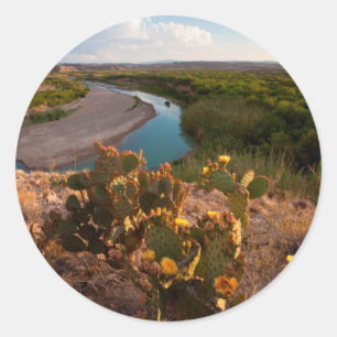 Pampelmuse (Opuntia Sp.) Runder Aufkleber