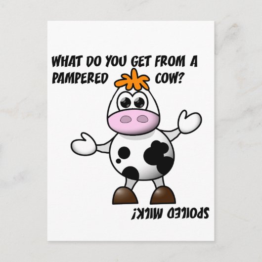 Pampered Cow Joke Postcard Postkarte (Vorderseite)