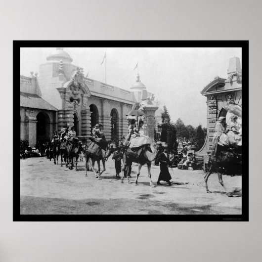 Pan Am Expo Camel Parade 1901 Poster (Vorne)