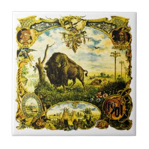 Pan Am Expo mit Bison- und indianischen Motiven Fliese