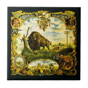 Pan Am Expo mit Bison- und indianischen Motiven Fliese