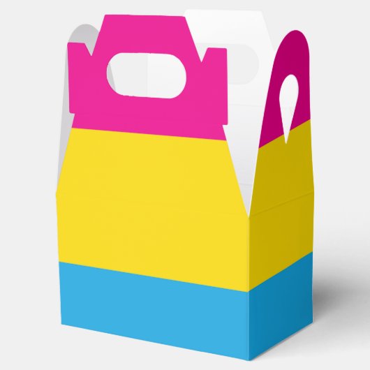 Pan Flag Geschenkschachtel (Geöffnet)