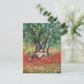 PAN OLIVE TREE UND POPPIES POSTKARTE (Stehend Vorderseite)