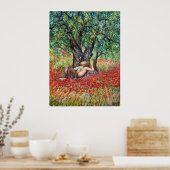 PAN-, OLIVENBAUM- UND POPPY-FELDER POSTER (Küche)