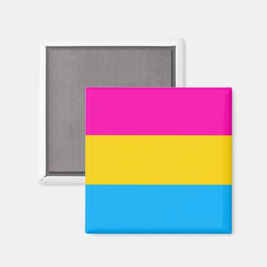 Pan-Strichmagnet Magnet (Vorderseite/Rückseite)