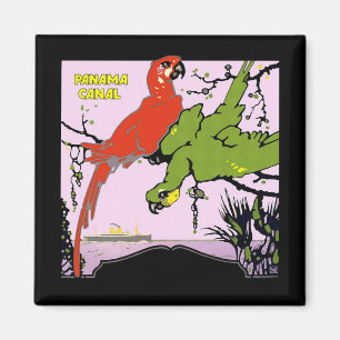 Panama Canal Parrots Magnet