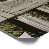 Panama City Beach Poster (Ecke)